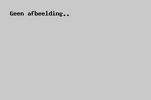 Steam Bar & Grill 13